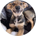 annette stewart profile picture